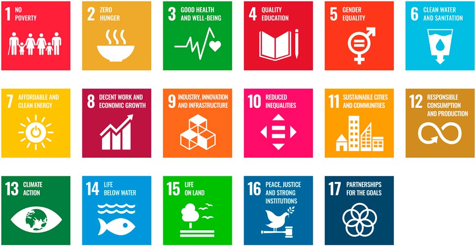 17 Sustainable Development Goals